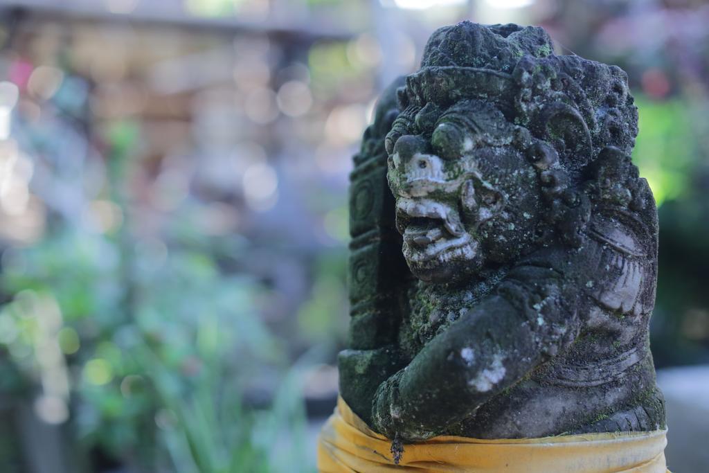 Karang Mesari Ubud Guest House Экстерьер фото