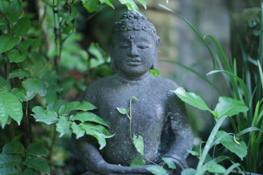 Karang Mesari Ubud Guest House Экстерьер фото