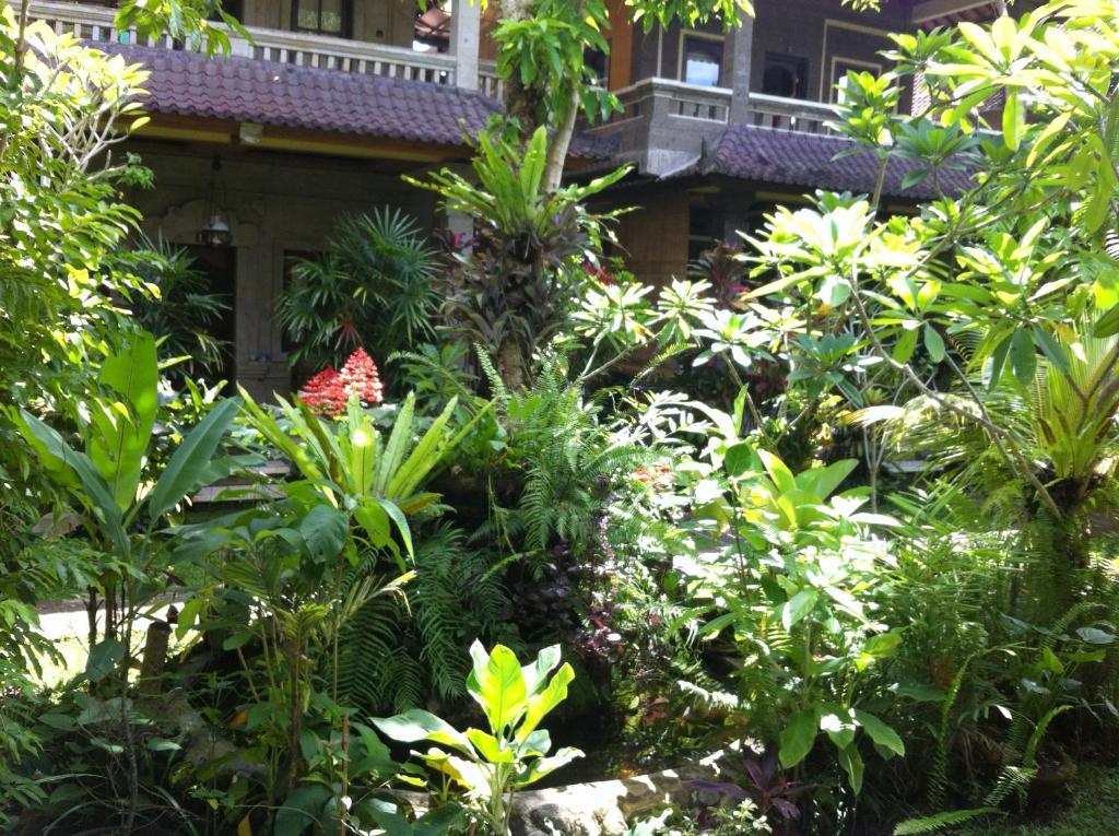 Karang Mesari Ubud Guest House Экстерьер фото