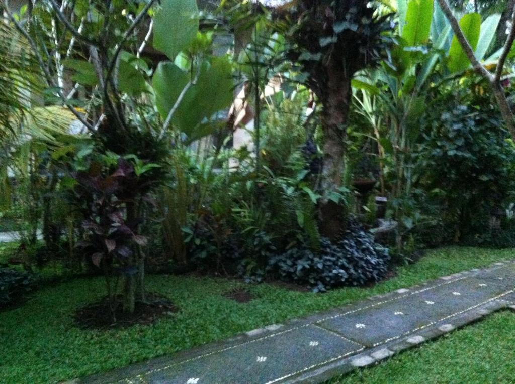 Karang Mesari Ubud Guest House Экстерьер фото
